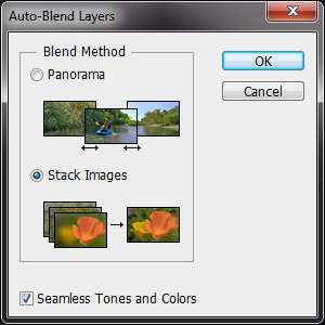 Photographing Roses, Blend Layers Dialog